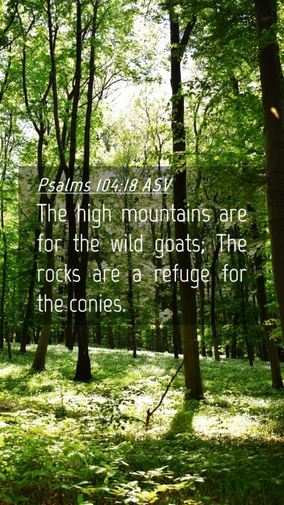 Picture 04 - Psalms 104:18 ASV Mobile Phone Wallpaper - The high mountains are for the wild goats; The - Mobile Bible Verse Wallpaper