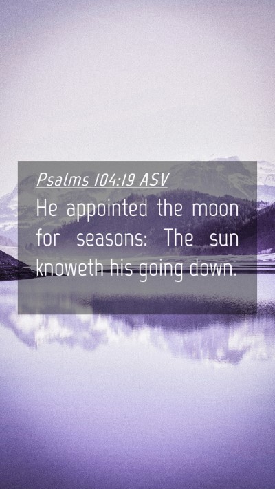 Picture 04 - Psalms 104:19 ASV Mobile Phone Wallpaper - He appointed the moon for seasons: The sun - Mobile Bible Verse Wallpaper
