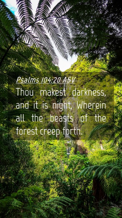 Picture 04 - Psalms 104:20 ASV Mobile Phone Wallpaper - Thou makest darkness, and it is night, Wherein - Mobile Bible Verse Wallpaper