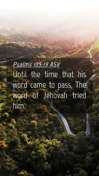 Picture 04 - Psalms 105:19 ASV Mobile Phone Wallpaper - Until the time that his word came to pass, The - Mobile Bible Verse Wallpaper