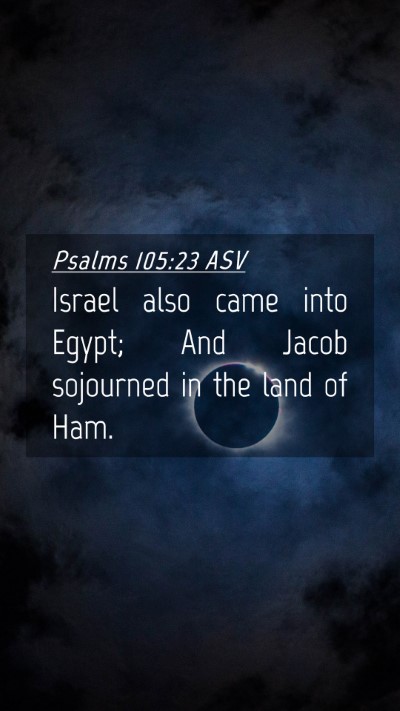 Picture 04 - Psalms 105:23 ASV Mobile Phone Wallpaper - Israel also came into Egypt; And Jacob sojourned - Mobile Bible Verse Wallpaper