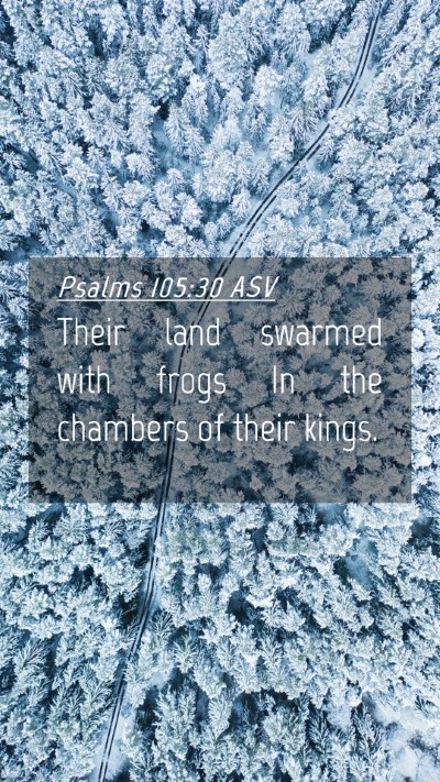 Picture 04 - Psalms 105:30 ASV Mobile Phone Wallpaper - Their land swarmed with frogs In the chambers of - Mobile Bible Verse Wallpaper
