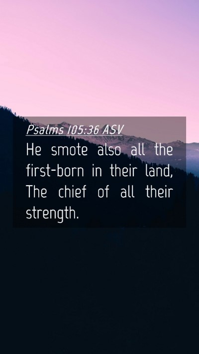 Picture 04 - Psalms 105:36 ASV Mobile Phone Wallpaper - He smote also all the first-born in their land, - Mobile Bible Verse Wallpaper