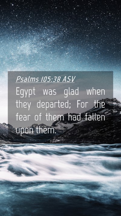 Picture 04 - Psalms 105:38 ASV Mobile Phone Wallpaper - Egypt was glad when they departed; For the fear - Mobile Bible Verse Wallpaper