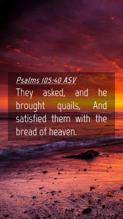 Picture 04 - Psalms 105:40 ASV Mobile Phone Wallpaper - They asked, and he brought quails, And satisfied - Mobile Bible Verse Wallpaper