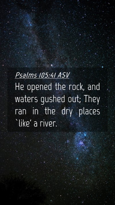 Picture 04 - Psalms 105:41 ASV Mobile Phone Wallpaper - He opened the rock, and waters gushed out; They - Mobile Bible Verse Wallpaper