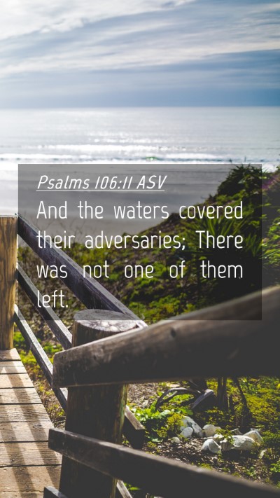 Picture 04 - Psalms 106:11 ASV Mobile Phone Wallpaper - And the waters covered their adversaries; There - Mobile Bible Verse Wallpaper