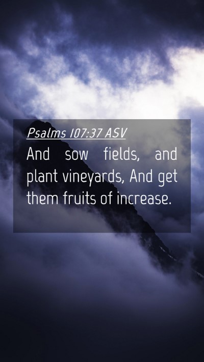 Picture 04 - Psalms 107:37 ASV Mobile Phone Wallpaper - And sow fields, and plant vineyards, And get them - Mobile Bible Verse Wallpaper
