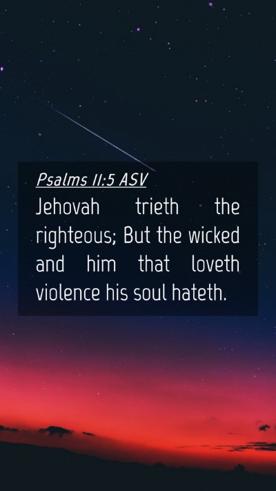 Picture 04 - Psalms 11:5 ASV Mobile Phone Wallpaper - Jehovah trieth the righteous; But the wicked and - Mobile Bible Verse Wallpaper