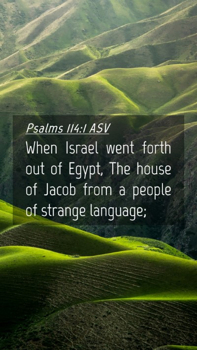 Picture 04 - Psalms 114:1 ASV Mobile Phone Wallpaper - When Israel went forth out of Egypt, The house of - Mobile Bible Verse Wallpaper