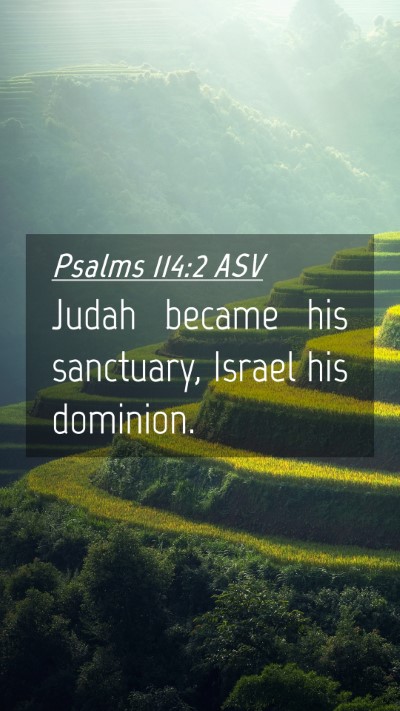 Picture 04 - Psalms 114:2 ASV Mobile Phone Wallpaper - Judah became his sanctuary, Israel his - Mobile Bible Verse Wallpaper