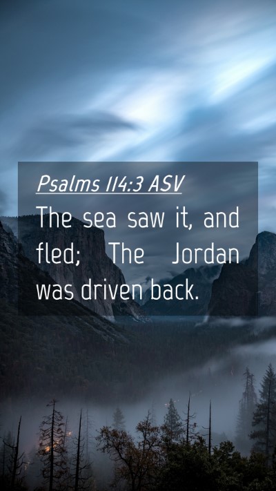 Picture 04 - Psalms 114:3 ASV Mobile Phone Wallpaper - The sea saw it, and fled; The Jordan was driven - Mobile Bible Verse Wallpaper