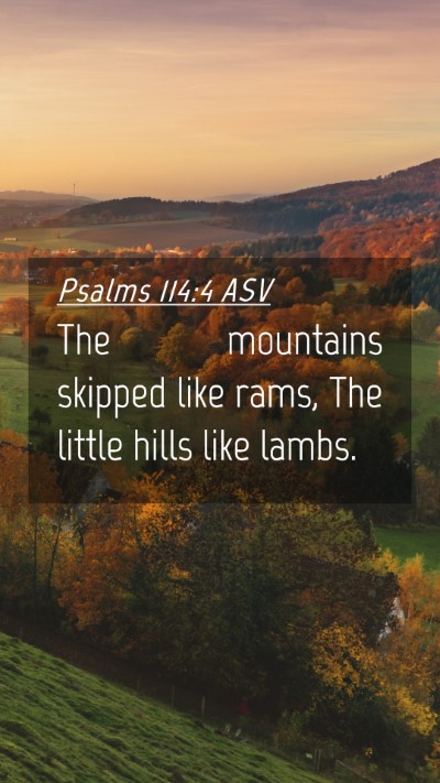 Picture 04 - Psalms 114:4 ASV Mobile Phone Wallpaper - The mountains skipped like rams, The little hills - Mobile Bible Verse Wallpaper