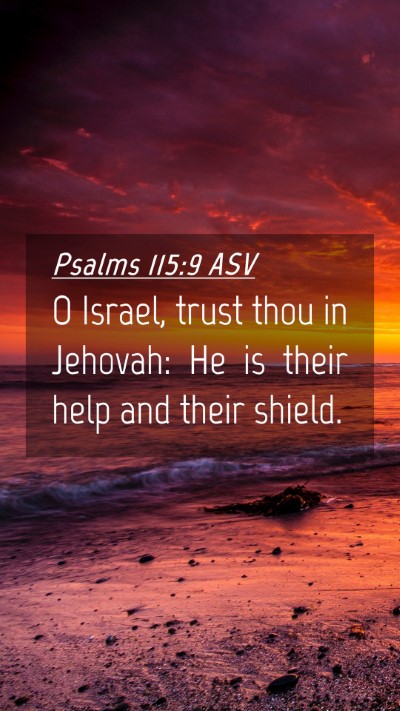 Picture 04 - Psalms 115:9 ASV Mobile Phone Wallpaper - O Israel, trust thou in Jehovah: He is their help - Mobile Bible Verse Wallpaper