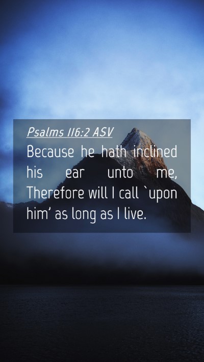 Picture 04 - Psalms 116:2 ASV Mobile Phone Wallpaper - Because he hath inclined his ear unto me, - Mobile Bible Verse Wallpaper