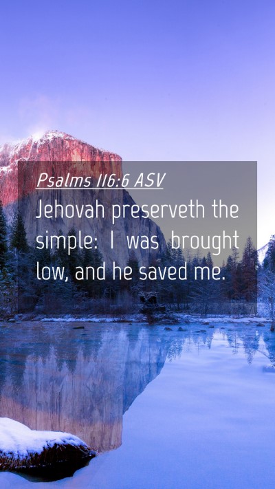 Picture 04 - Psalms 116:6 ASV Mobile Phone Wallpaper - Jehovah preserveth the simple: I was brought low, - Mobile Bible Verse Wallpaper