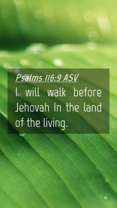 Picture 04 - Psalms 116:9 ASV Mobile Phone Wallpaper - I will walk before Jehovah In the land of the - Mobile Bible Verse Wallpaper