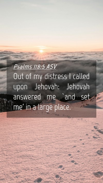 Picture 04 - Psalms 118:5 ASV Mobile Phone Wallpaper - Out of my distress I called upon Jehovah: Jehovah - Mobile Bible Verse Wallpaper