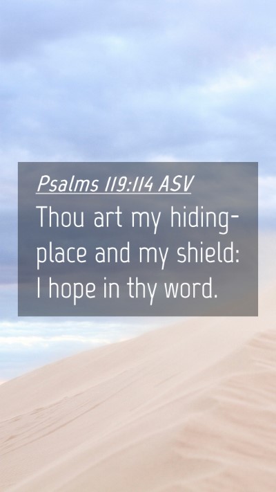 Picture 04 - Psalms 119:114 ASV Mobile Phone Wallpaper - Thou art my hiding-place and my shield: I hope in - Mobile Bible Verse Wallpaper