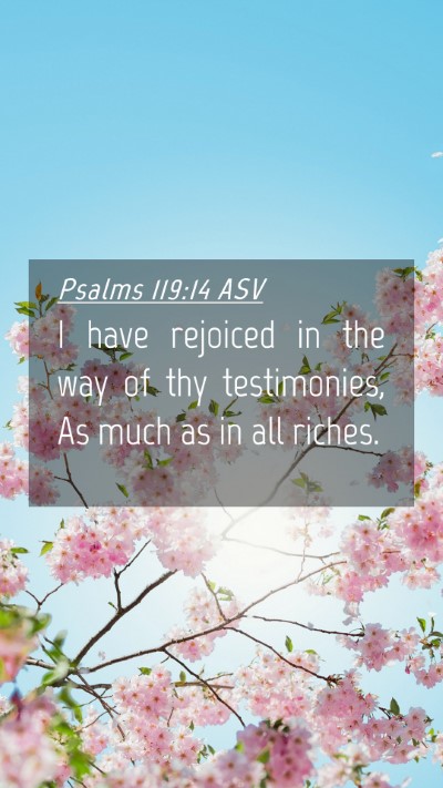 Picture 04 - Psalms 119:14 ASV Mobile Phone Wallpaper - I have rejoiced in the way of thy testimonies, As - Mobile Bible Verse Wallpaper