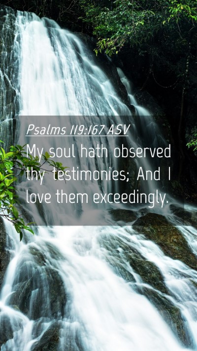 Picture 04 - Psalms 119:167 ASV Mobile Phone Wallpaper - My soul hath observed thy testimonies; And I love - Mobile Bible Verse Wallpaper