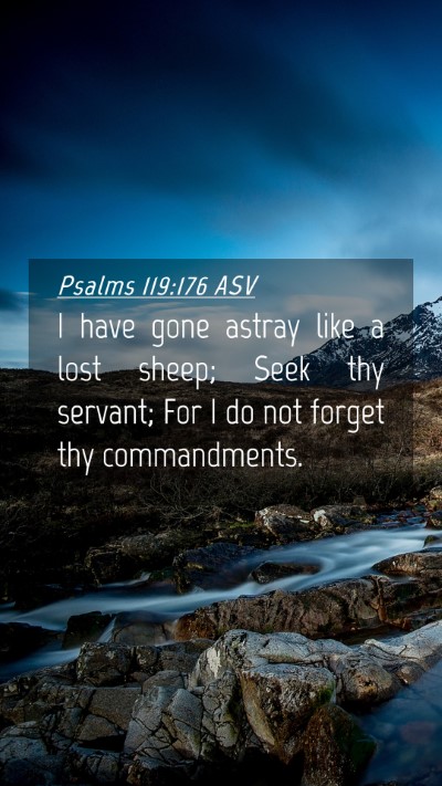 Picture 04 - Psalms 119:176 ASV Mobile Phone Wallpaper - I have gone astray like a lost sheep; Seek thy - Mobile Bible Verse Wallpaper