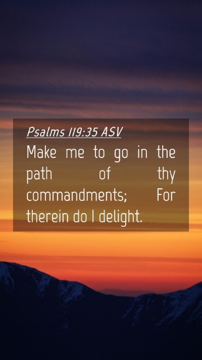 Picture 04 - Psalms 119:35 ASV Mobile Phone Wallpaper - Make me to go in the path of thy commandments; - Mobile Bible Verse Wallpaper