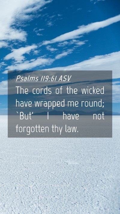 Picture 04 - Psalms 119:61 ASV Mobile Phone Wallpaper - The cords of the wicked have wrapped me round; - Mobile Bible Verse Wallpaper
