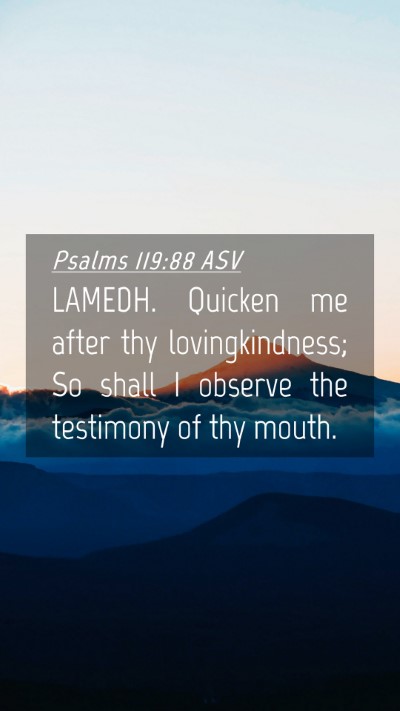 Picture 04 - Psalms 119:88 ASV Mobile Phone Wallpaper - LAMEDH. Quicken me after thy lovingkindness; So - Mobile Bible Verse Wallpaper