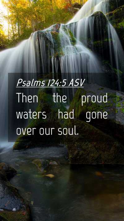 Picture 04 - Psalms 124:5 ASV Mobile Phone Wallpaper - Then the proud waters had gone over our - Mobile Bible Verse Wallpaper