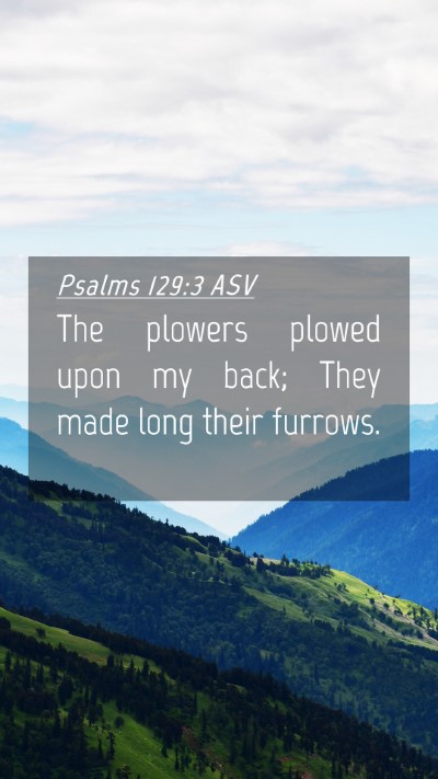 Picture 04 - Psalms 129:3 ASV Mobile Phone Wallpaper - The plowers plowed upon my back; They made long - Mobile Bible Verse Wallpaper