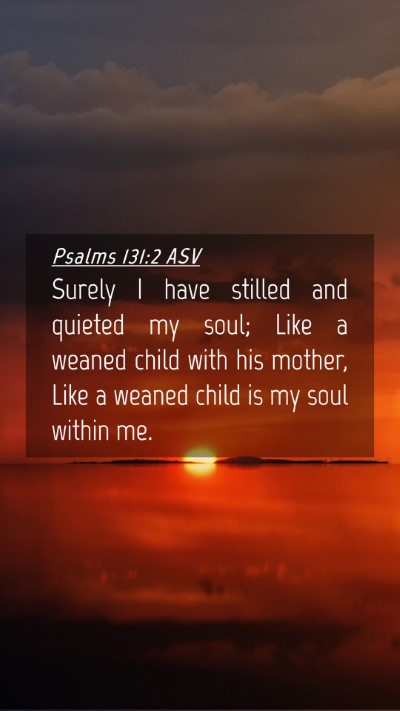 Picture 04 - Psalms 131:2 ASV Mobile Phone Wallpaper - Surely I have stilled and quieted my soul; Like a - Mobile Bible Verse Wallpaper