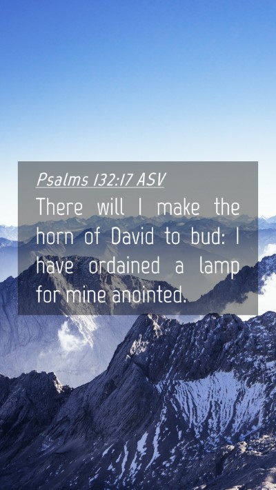 Picture 04 - Psalms 132:17 ASV Mobile Phone Wallpaper - There will I make the horn of David to bud: I - Mobile Bible Verse Wallpaper