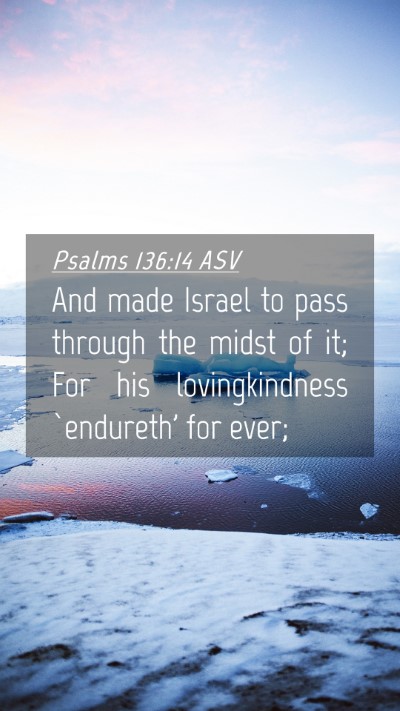 Picture 04 - Psalms 136:14 ASV Mobile Phone Wallpaper - And made Israel to pass through the midst of it; - Mobile Bible Verse Wallpaper