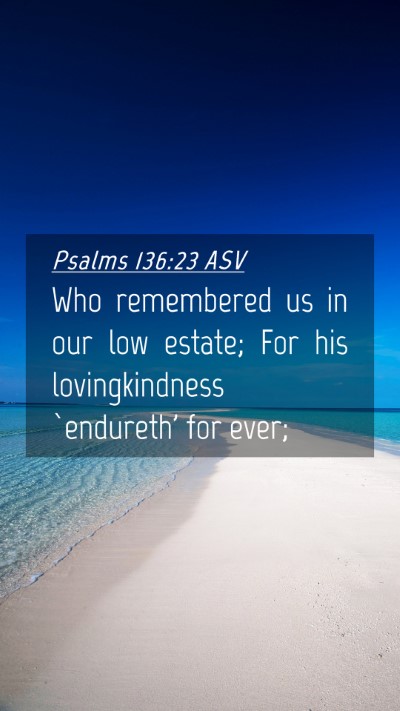 Picture 04 - Psalms 136:23 ASV Mobile Phone Wallpaper - Who remembered us in our low estate; For his - Mobile Bible Verse Wallpaper
