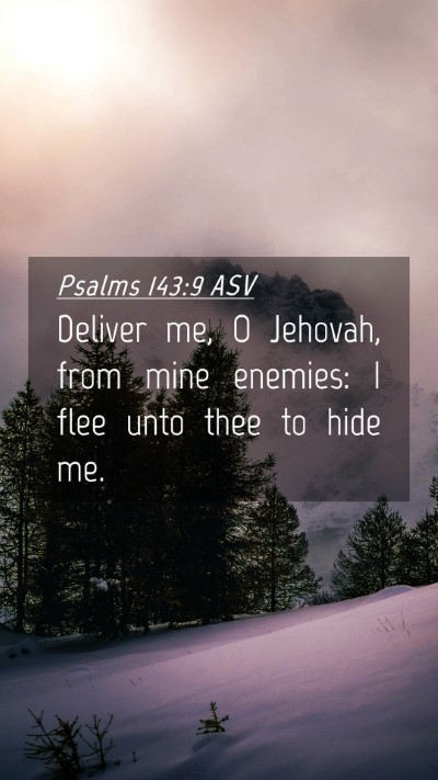 Picture 04 - Psalms 143:9 ASV Mobile Phone Wallpaper - Deliver me, O Jehovah, from mine enemies: I flee - Mobile Bible Verse Wallpaper