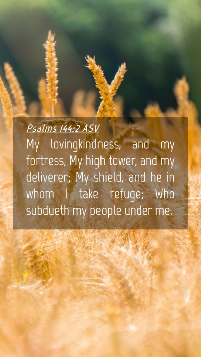 Picture 04 - Psalms 144:2 ASV Mobile Phone Wallpaper - My lovingkindness, and my fortress, My high - Mobile Bible Verse Wallpaper