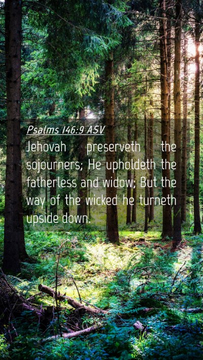 Picture 04 - Psalms 146:9 ASV Mobile Phone Wallpaper - Jehovah preserveth the sojourners; He upholdeth - Mobile Bible Verse Wallpaper