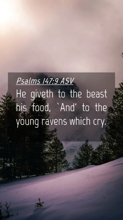 Picture 04 - Psalms 147:9 ASV Mobile Phone Wallpaper - He giveth to the beast his food, `And' to the - Mobile Bible Verse Wallpaper