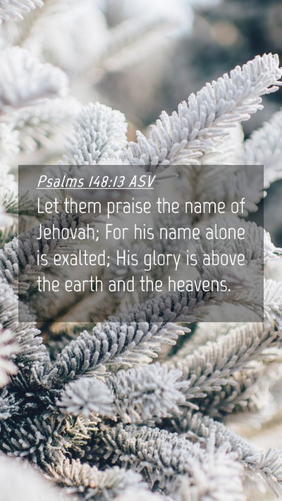 Picture 04 - Psalms 148:13 ASV Mobile Phone Wallpaper - Let them praise the name of Jehovah; For his name - Mobile Bible Verse Wallpaper