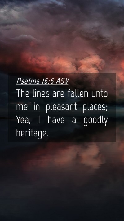 Picture 04 - Psalms 16:6 ASV Mobile Phone Wallpaper - The lines are fallen unto me in pleasant places; - Mobile Bible Verse Wallpaper