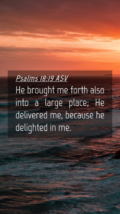 Picture 04 - Psalms 18:19 ASV Mobile Phone Wallpaper - He brought me forth also into a large place; He - Mobile Bible Verse Wallpaper