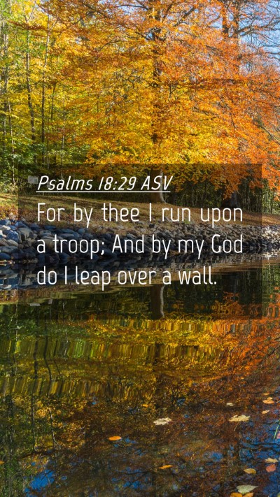 Picture 04 - Psalms 18:29 ASV Mobile Phone Wallpaper - For by thee I run upon a troop; And by my God do - Mobile Bible Verse Wallpaper
