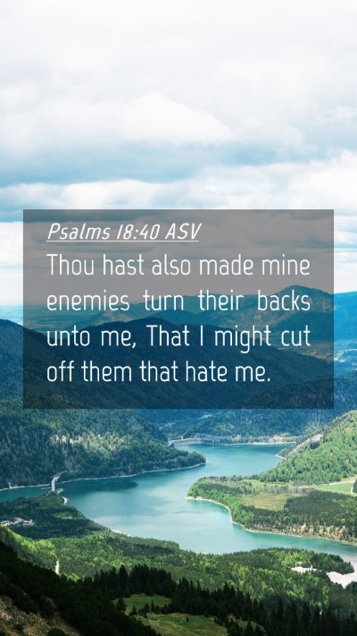 Picture 04 - Psalms 18:40 ASV Mobile Phone Wallpaper - Thou hast also made mine enemies turn their backs - Mobile Bible Verse Wallpaper