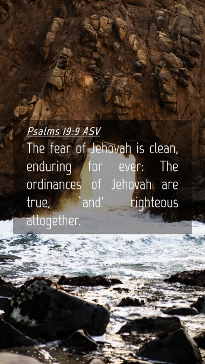 Picture 04 - Psalms 19:9 ASV Mobile Phone Wallpaper - The fear of Jehovah is clean, enduring for ever: - Mobile Bible Verse Wallpaper