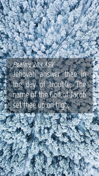 Picture 04 - Psalms 20:1 ASV Mobile Phone Wallpaper - Jehovah answer thee in the day of trouble; The - Mobile Bible Verse Wallpaper