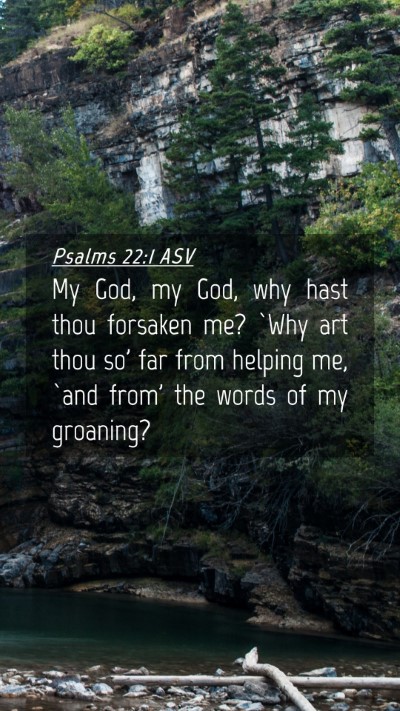 Picture 04 - Psalms 22:1 ASV Mobile Phone Wallpaper - My God, my God, why hast thou forsaken me? `Why - Mobile Bible Verse Wallpaper