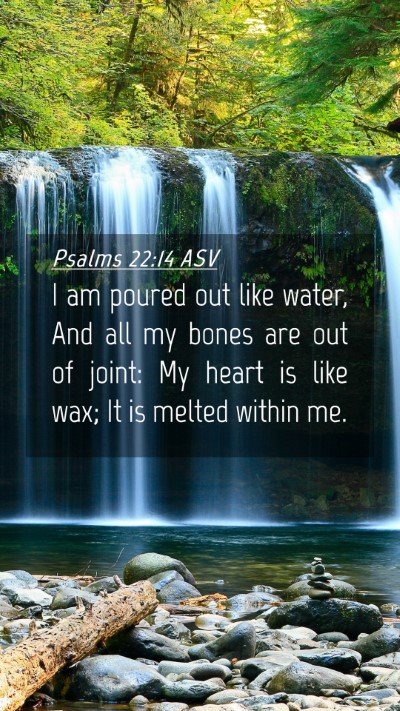 Picture 04 - Psalms 22:14 ASV Mobile Phone Wallpaper - I am poured out like water, And all my bones are - Mobile Bible Verse Wallpaper