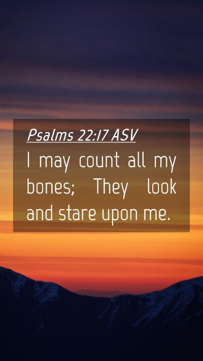 Picture 04 - Psalms 22:17 ASV Mobile Phone Wallpaper - I may count all my bones; They look and stare - Mobile Bible Verse Wallpaper