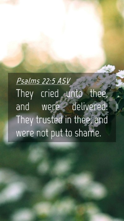 Picture 04 - Psalms 22:5 ASV Mobile Phone Wallpaper - They cried unto thee, and were delivered: They - Mobile Bible Verse Wallpaper